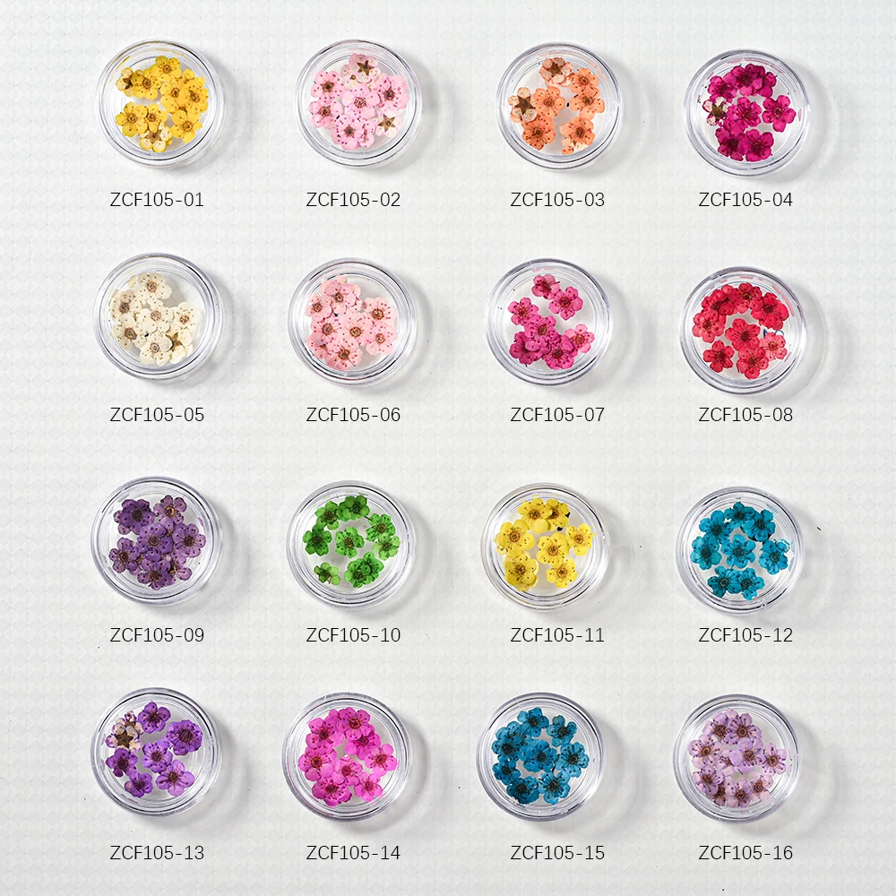 16Pcs/set Colorful Natural Plant Dried Flowers Nail Charms 3D Mixed Plum Bossom Real Dry Floral Nail Parts Summer Manicure Decor
16Pcs/set Colorful Natural Plant Dried Flowers Nail Charms 3D Mixed Plum Bossom Real Dry Floral Nail Parts Summer Manicure Decor