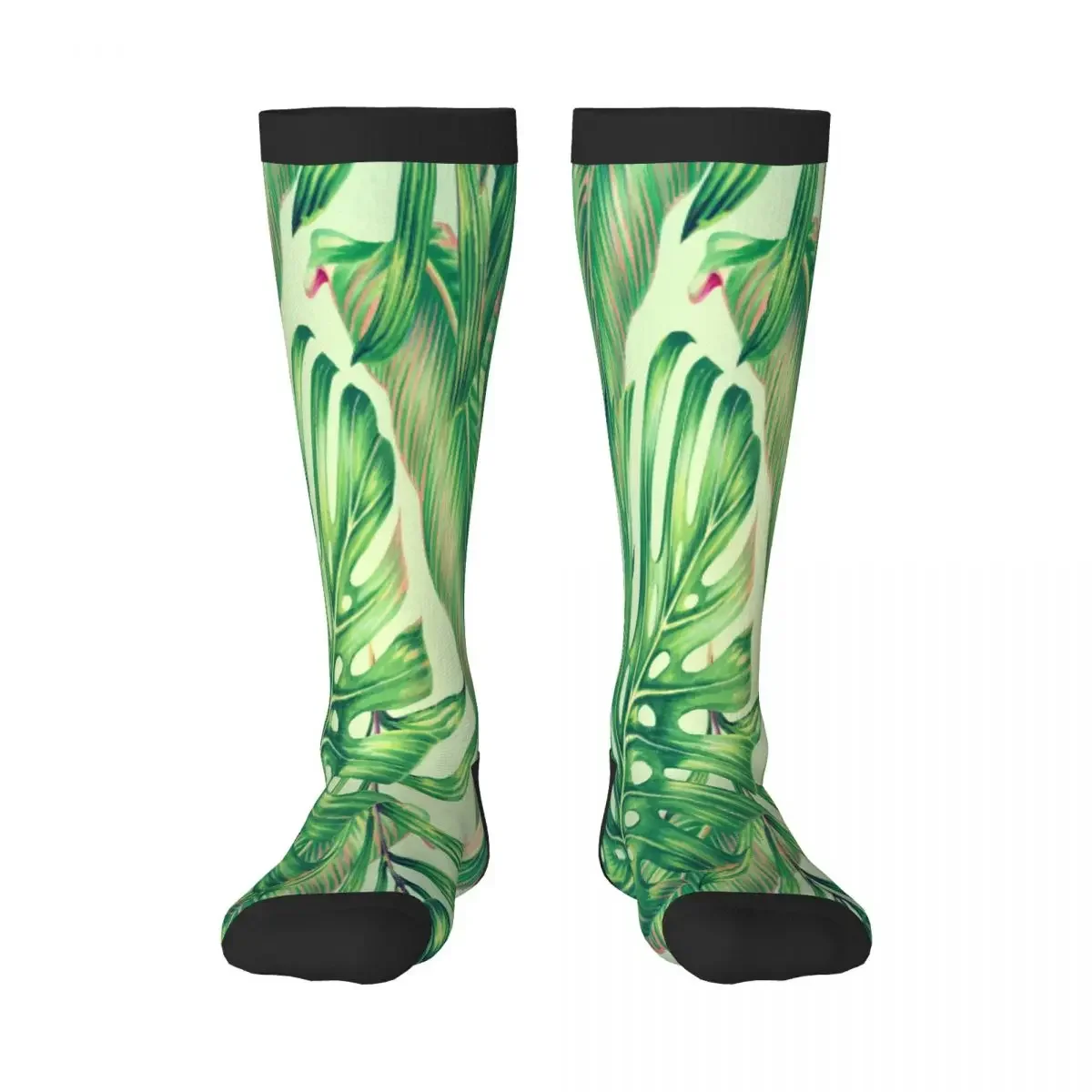 Unisex Socks Tropical Palm And Monstera Leaf Casual Socks Harajuku Business Long Socks
Unisex Socks Tropical Palm And Monstera Leaf Casual Socks Harajuku Business Long Socks