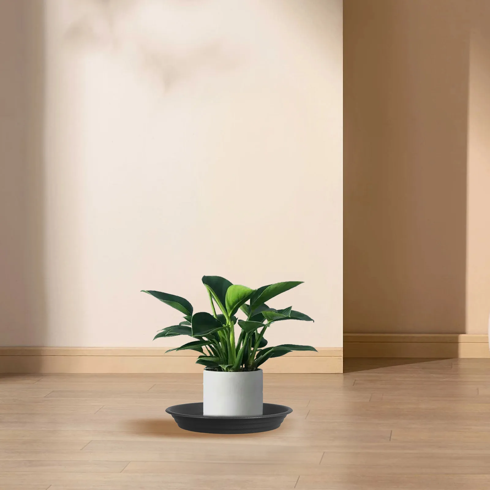 5pcs Flower Pot Tray Drip Sturdy Thickened Water Collection Prevent Root Rot Compatible Plants Pot Drip Trays Indoor Garden
5pcs Flower Pot Tray Drip Sturdy Thickened Water Collection Prevent Root Rot Compatible Plants Pot Drip Trays Indoor Garden