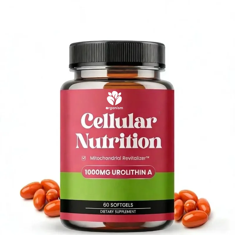 Urolith A 1000mg Soft Capsules - Mitochondria, Muscle Cell Energy Health Support 60 Capsules
Urolith A 1000mg Soft Capsules - Mitochondria, Muscle Cell Energy Health Support 60 Capsules