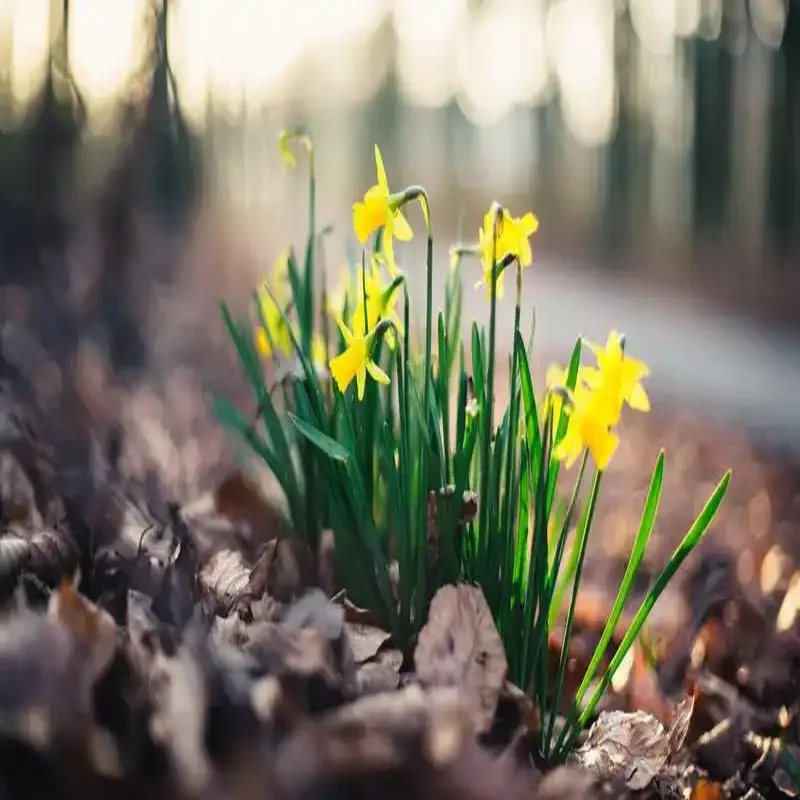 Suitable For M-Benz A-Class 2019-2023 Electric Tailgate Sensor Automatic Adjustable Automatic Door Auto Supplies Car Accsesories
Suitable For M-Benz A-Class 2019-2023 Electric Tailgate Sensor Automatic Adjustable Automatic Door Auto Supplies Car Accsesories