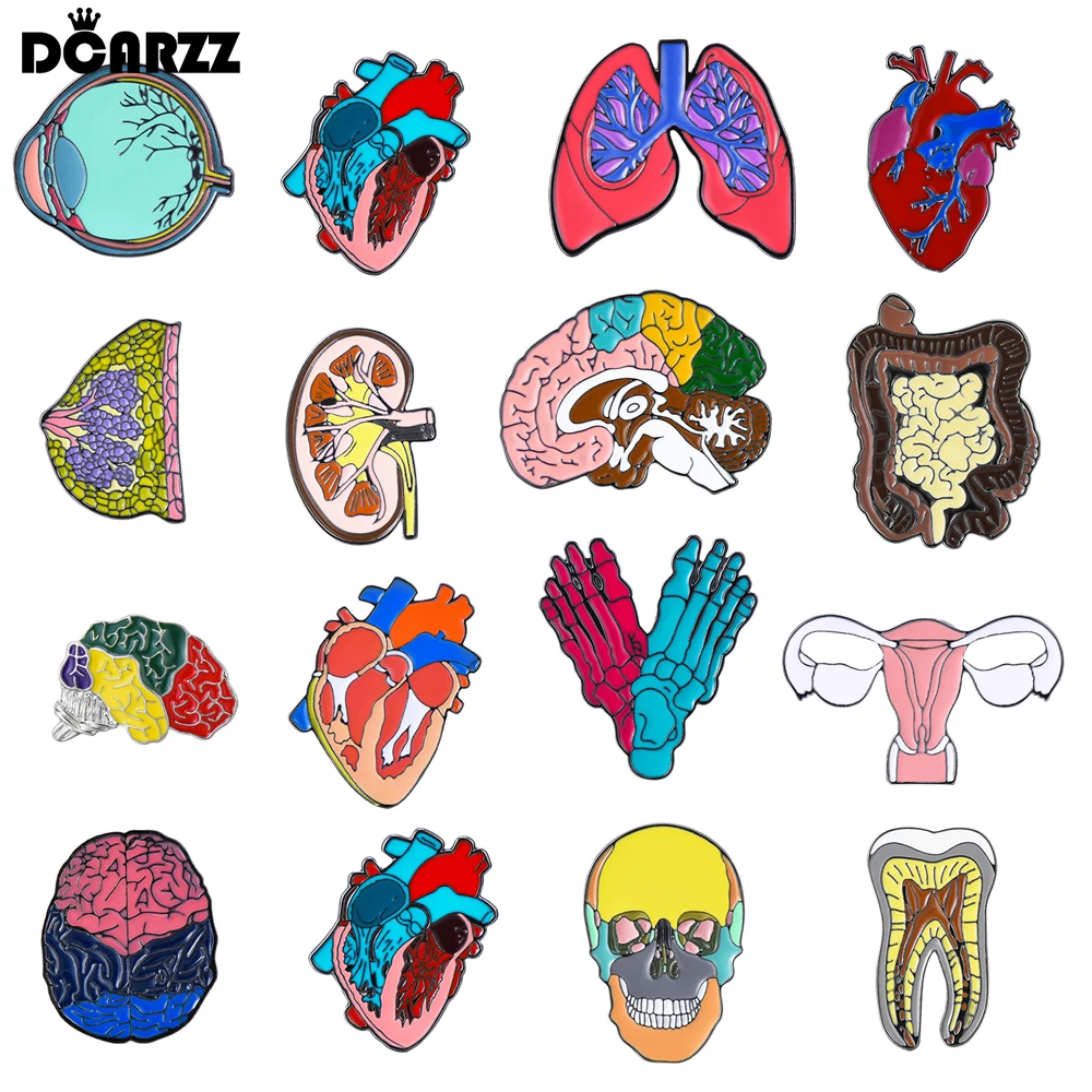 DCARZZ Classic Enamel Organ Brooch Pin Medical Anatomy Kidney Brain Heart Skull Badge Medicine Jewelry for Doctor Nurse
DCARZZ Classic Enamel Organ Brooch Pin Medical Anatomy Kidney Brain Heart Skull Badge Medicine Jewelry for Doctor Nurse