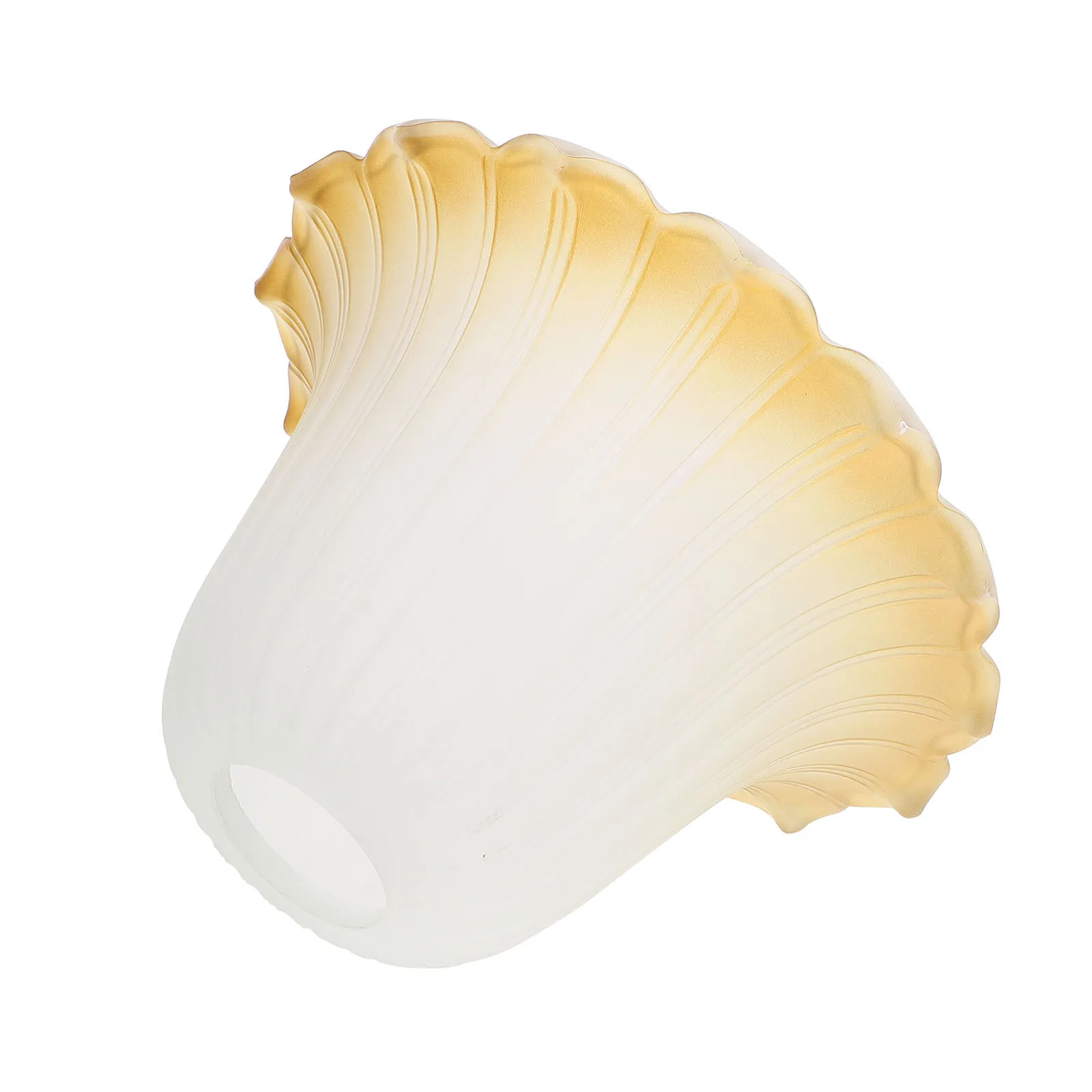 Glass Ceiling Light Shade Modern Chandelier Canopy Cover Easy Assembly Ceiling Lamp Fixture Cover for Home Indoor Use
Glass Ceiling Light Shade Modern Chandelier Canopy Cover Easy Assembly Ceiling Lamp Fixture Cover for Home Indoor Use