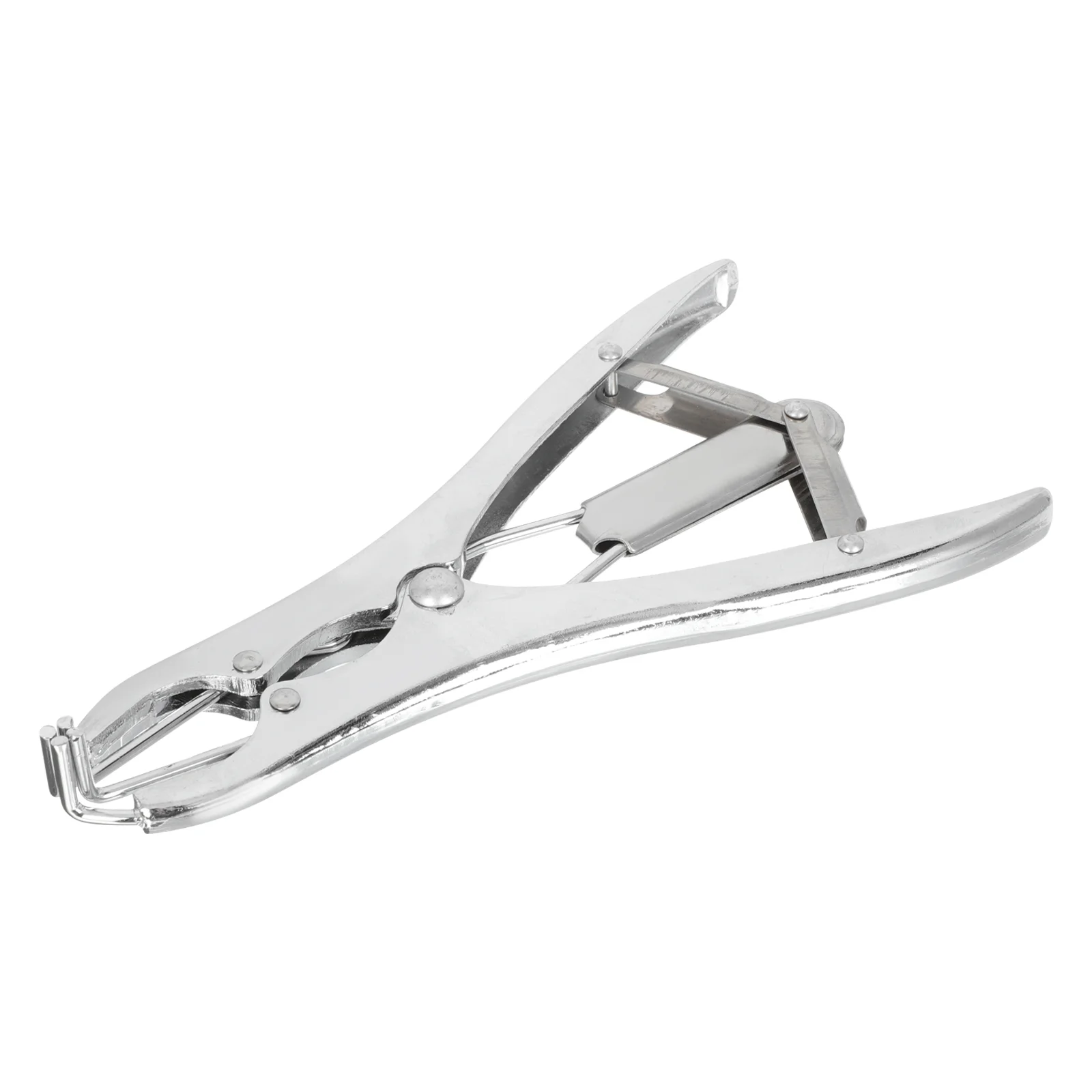 Balloon Expansion Forceps Decoration Tool DIY Home Filling Plier Petals Opener Roses Sequins Opening Stainless Steel Stuffing
Balloon Expansion Forceps Decoration Tool DIY Home Filling Plier Petals Opener Roses Sequins Opening Stainless Steel Stuffing