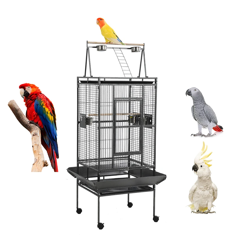 Black double parrot bird cage retro style steel plastic metal bird house breathable wired animal
Black double parrot bird cage retro style steel plastic metal bird house breathable wired animal