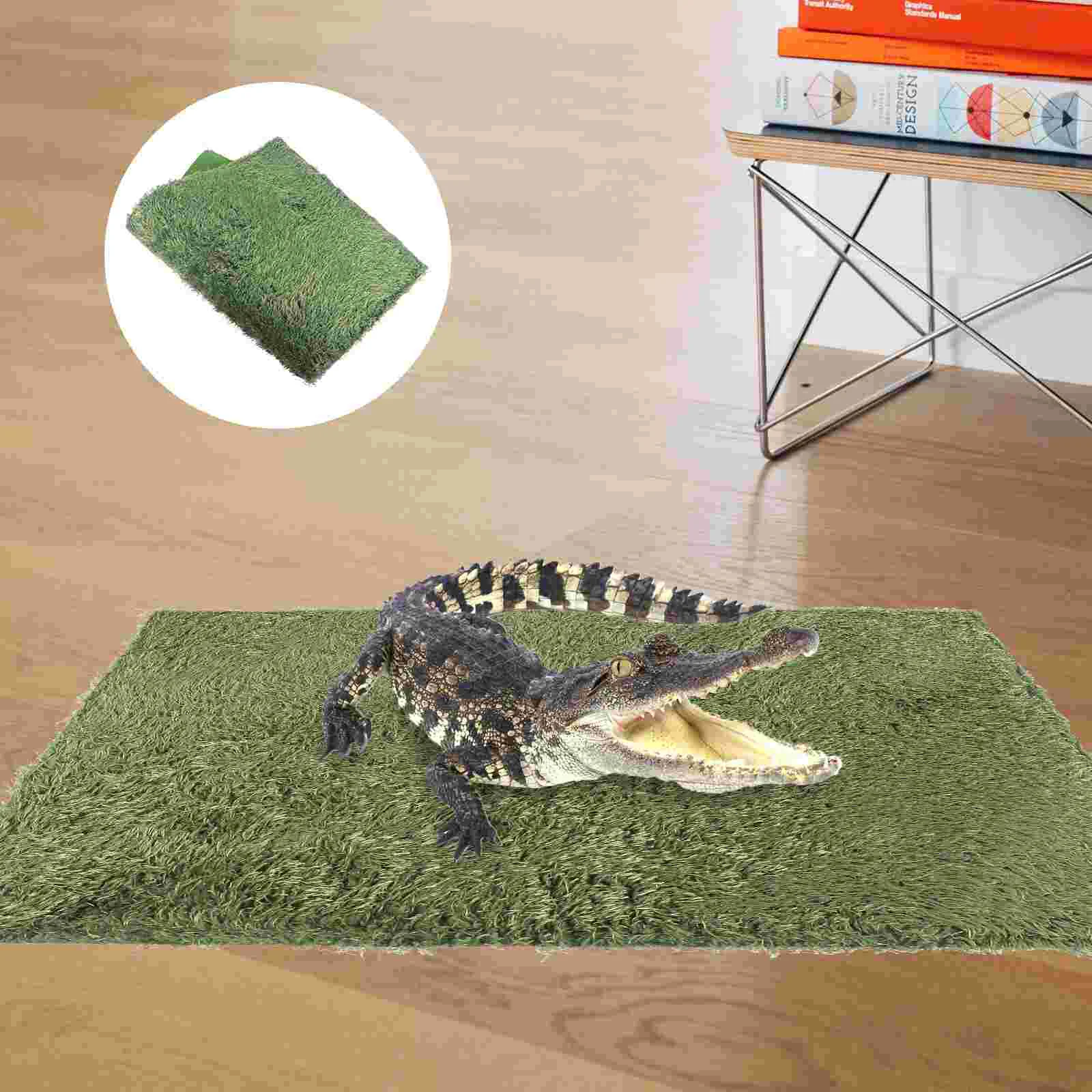 2 Pcs Amphibious Reptile Carpet Bedding Iguana Coconut Mat Gecko Accessories Tank Sulayer Moss for Pad Terrarium
2 Pcs Amphibious Reptile Carpet Bedding Iguana Coconut Mat Gecko Accessories Tank Sulayer Moss for Pad Terrarium