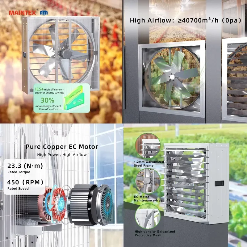 1380Mm EC Industrial Poultry Exhaust Fan Wall Mounted Greenhouse Air Ventilated Poultry Farm Air Cooling Fan Hammer Exhaust
1380Mm EC Industrial Poultry Exhaust Fan Wall Mounted Greenhouse Air Ventilated Poultry Farm Air Cooling Fan Hammer Exhaust