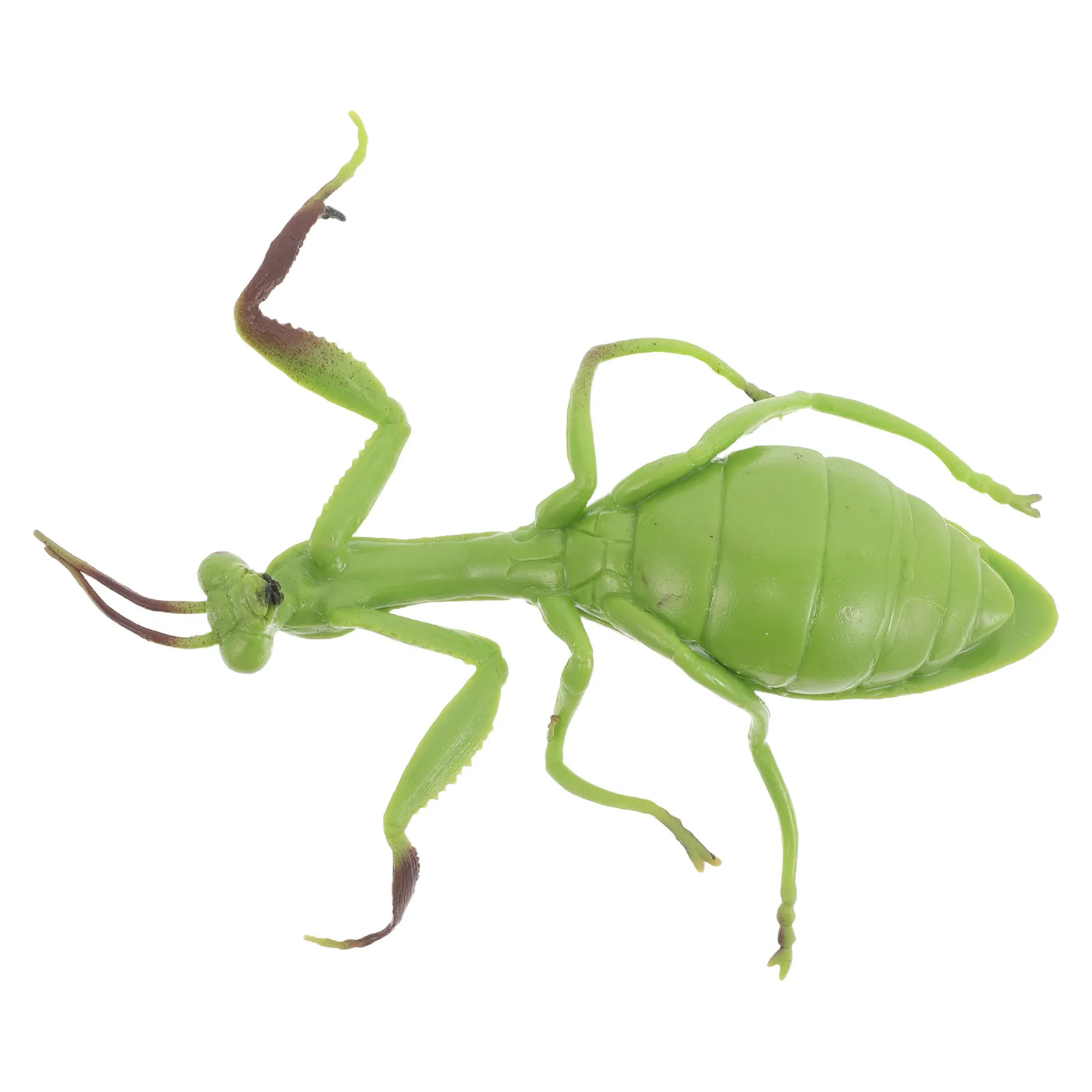 Realistic Mantis Simulation Soft Squeezable Educational Insect Learning Desktop Tabletop Home Office Ornament Simulation Animals
Realistic Mantis Simulation Soft Squeezable Educational Insect Learning Desktop Tabletop Home Office Ornament Simulation Animals