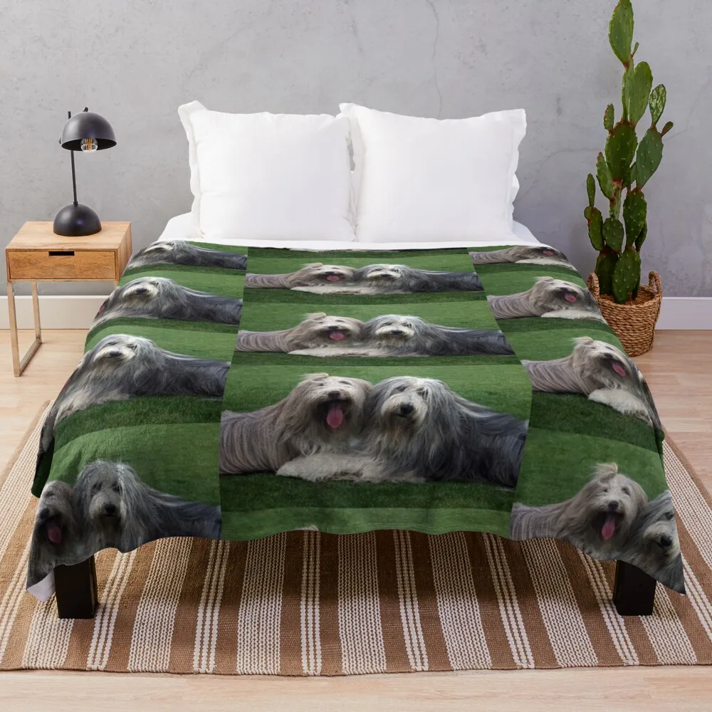 Two Bearded Collies Throw Blanket sofa bed Blankets For Bed Luxury St Bed linens Blankets
Two Bearded Collies Throw Blanket sofa bed Blankets For Bed Luxury St Bed linens Blankets