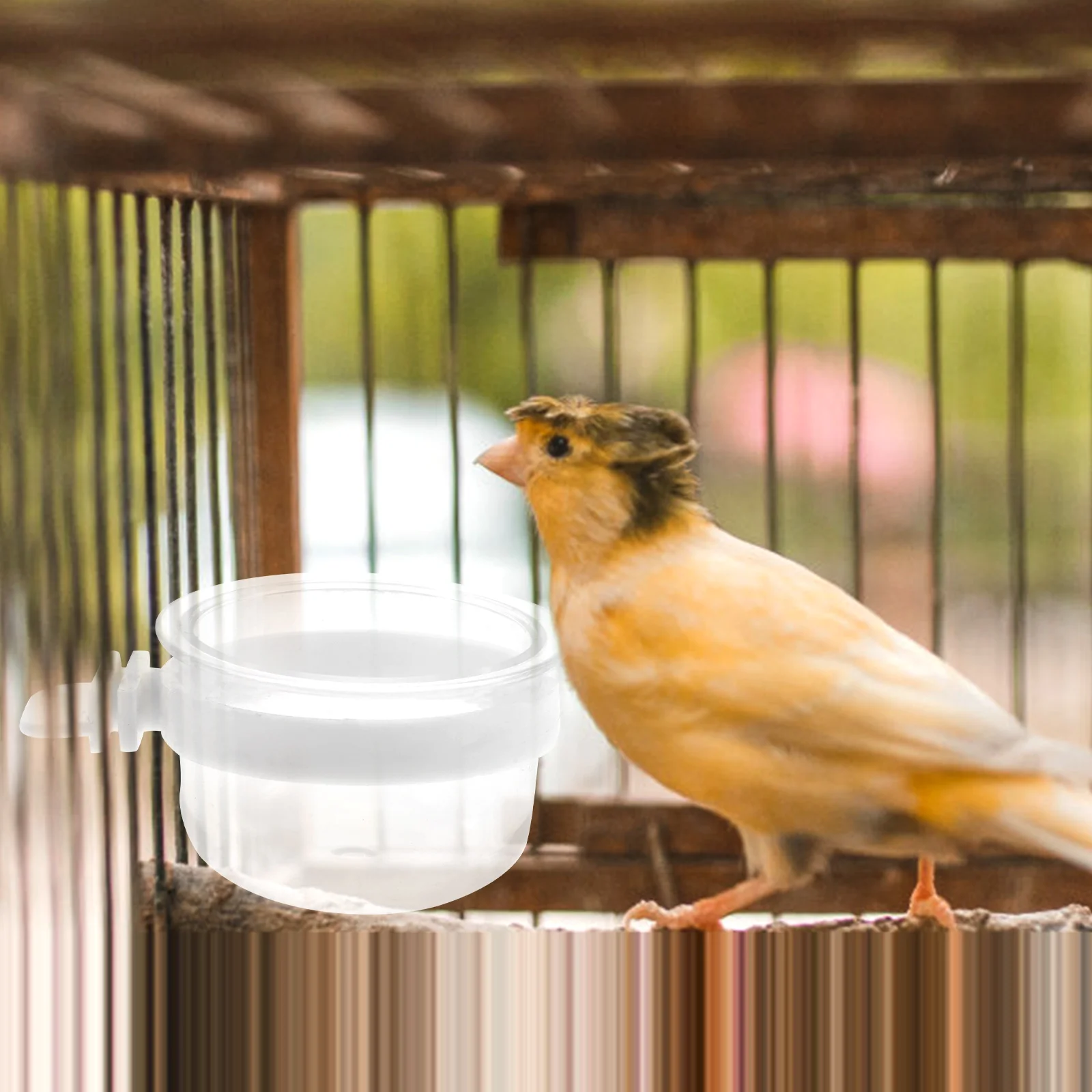 Removable Transparent Plastic Food Cup for Easy Hanging Parrot Water Feeder Bird Cage Accessories Durable Reusable Pvc
Removable Transparent Plastic Food Cup for Easy Hanging Parrot Water Feeder Bird Cage Accessories Durable Reusable Pvc