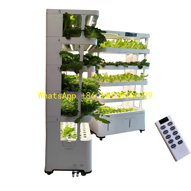 Vegetable Growing System Kit for Restaurant APP Intelligent Light Indoor Detachable Multi-Layer Vertical Hydroponic
Vegetable Growing System Kit for Restaurant APP Intelligent Light Indoor Detachable Multi-Layer Vertical Hydroponic