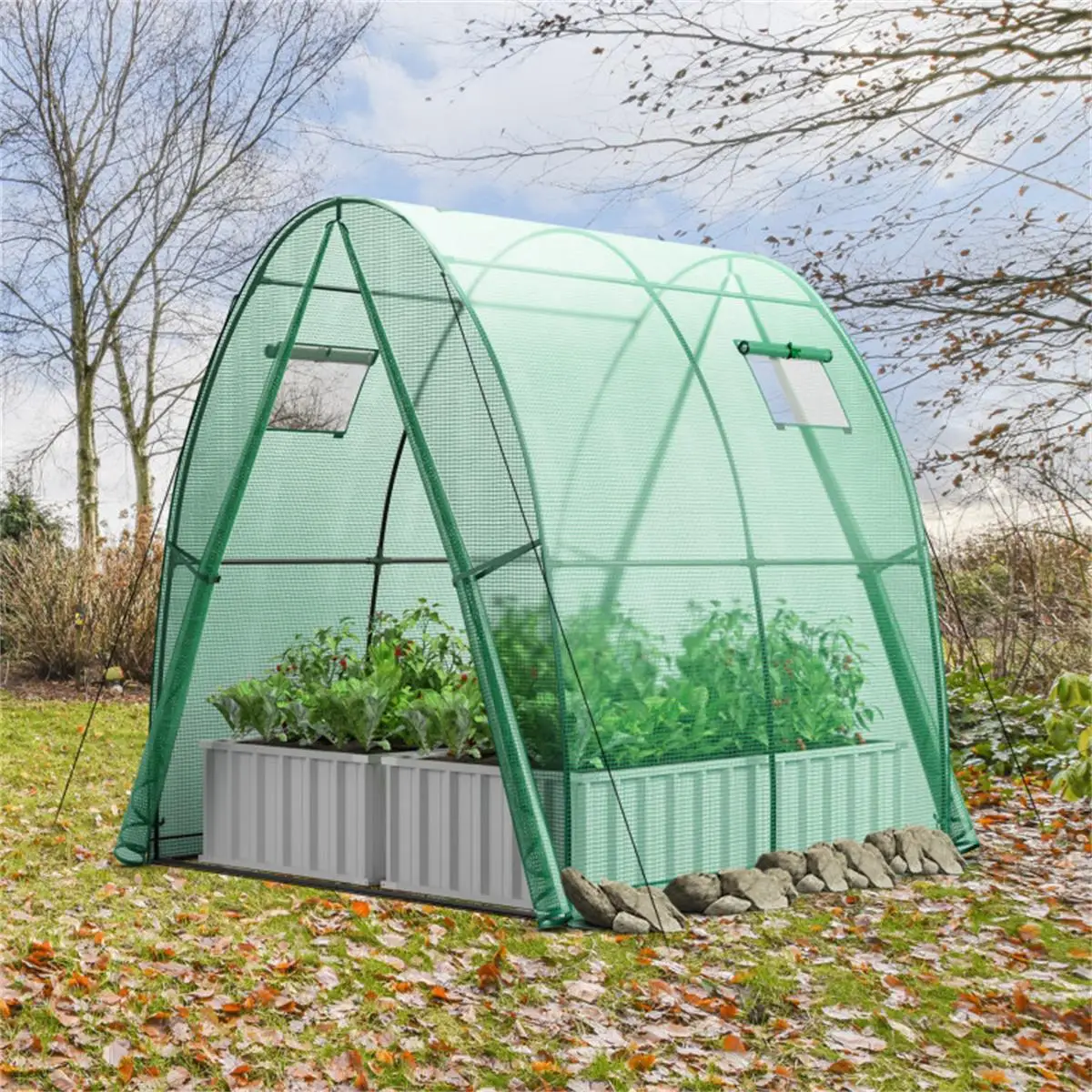 6x6x6.6 FT Outdoor Greenhouse for Plants - Durable Garden Shelter with UV
6x6x6.6 FT Outdoor Greenhouse for Plants - Durable Garden Shelter with UV