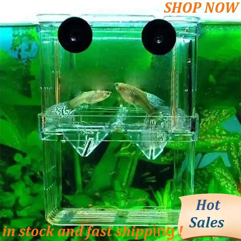 Коробка для разведения аквариумных рыб Bettas, изоляционная коробка для разведения рыб, прочный акрил
Коробка для разведения аквариумных рыб Bettas, изоляционная коробка для разведения рыб, прочный акрил