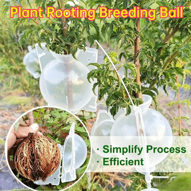 Plant Rooting Ball Plant Seedling Tool for Planting High Pressure Breeding Plant Root Growing Boxes for Garden Propagation
Plant Rooting Ball Plant Seedling Tool for Planting High Pressure Breeding Plant Root Growing Boxes for Garden Propagation