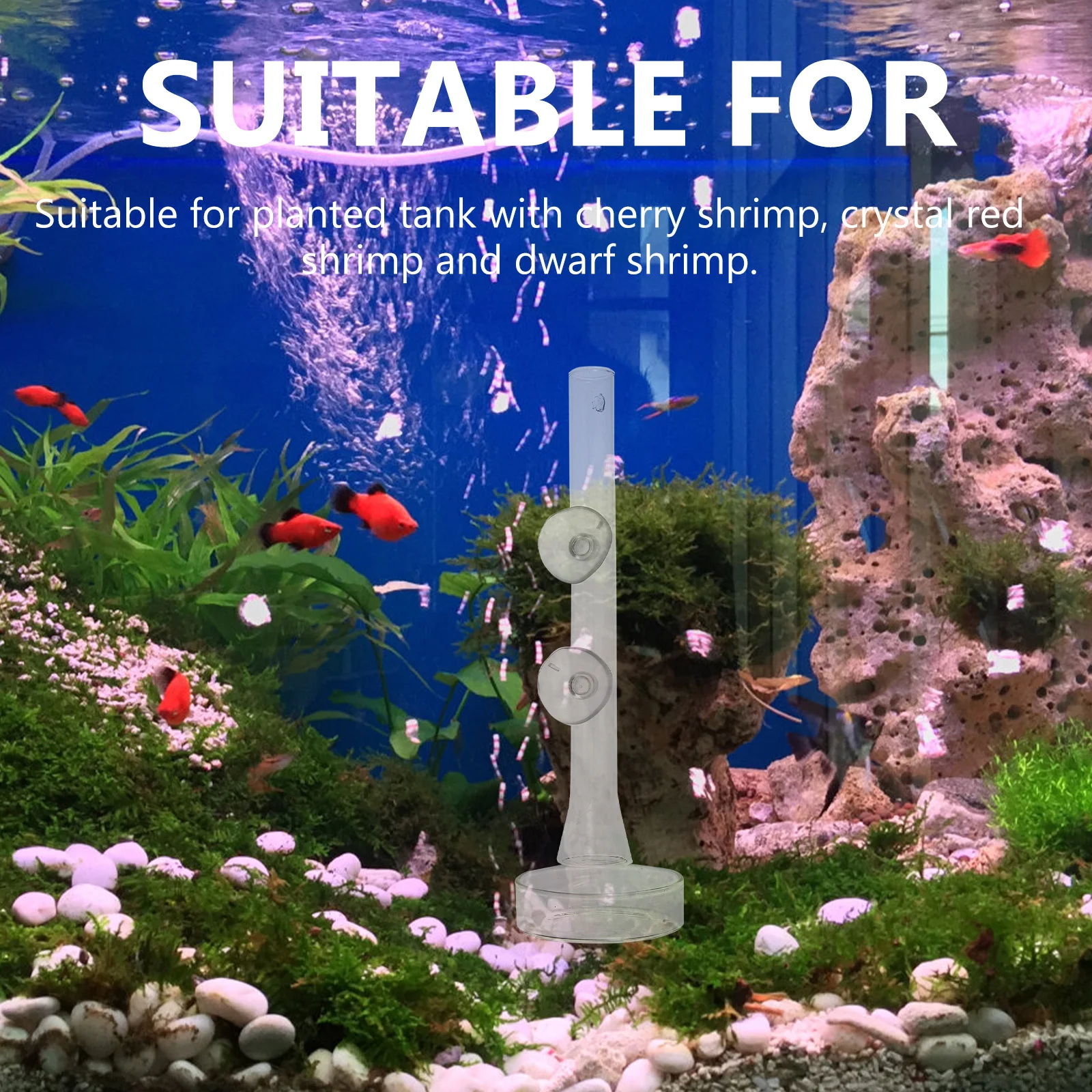 1Set Fish Feeder Shrimp Tank Feeding Tube Glass Aquarium Feeder Shrimp Dish Easy Clean Suction Aquarium Glass Fish
1Set Fish Feeder Shrimp Tank Feeding Tube Glass Aquarium Feeder Shrimp Dish Easy Clean Suction Aquarium Glass Fish