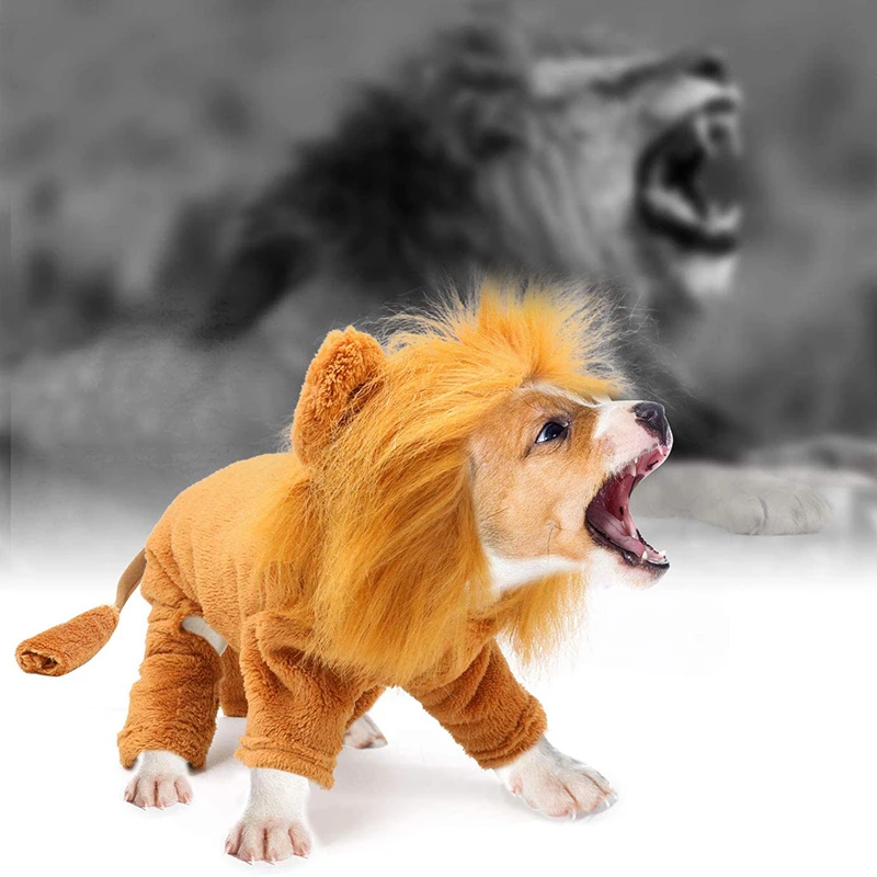 Benepaw Cozy Lion Dog Hoodie Cosplay Dress Up Pet Clothes Winter Cute Cat Puppy Costume For Halloween Party French Bulldog
Benepaw Cozy Lion Dog Hoodie Cosplay Dress Up Pet Clothes Winter Cute Cat Puppy Costume For Halloween Party French Bulldog