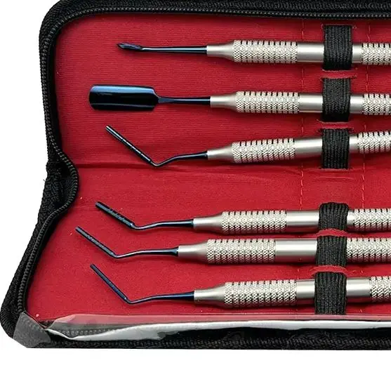 6Pcs Dental Bone Grafting Tool Set Professional Bone Powder Filling Spoon Plugger Restorative Dental Spatula Filler Instruments
6Pcs Dental Bone Grafting Tool Set Professional Bone Powder Filling Spoon Plugger Restorative Dental Spatula Filler Instruments