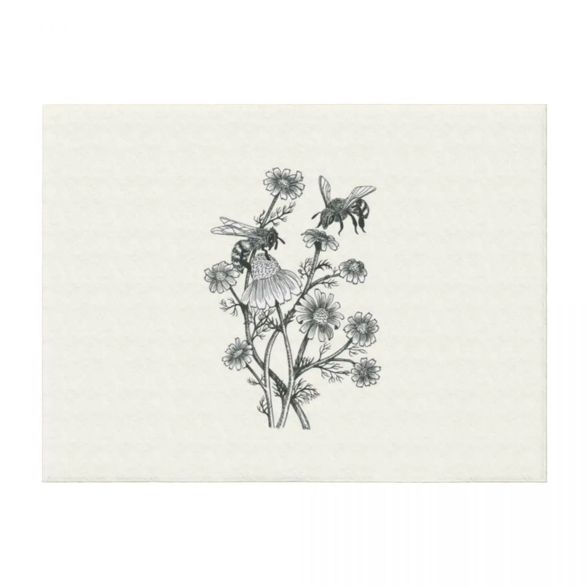 bees and chamomile on offwhite background Throw Blanket Plush wednesday Plaid on the sofa Blankets
bees and chamomile on offwhite background Throw Blanket Plush wednesday Plaid on the sofa Blankets