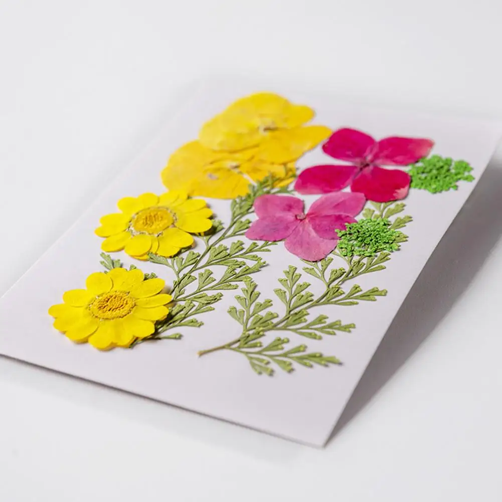 Натуральные сушеные цветы, прессованные сушеные цветы для поделок своими руками, формы из смолы, полностью натуральные цветы для скрапбукинга, набор украшений для лица
Натуральные сушеные цветы, прессованные сушеные цветы для поделок своими руками, формы из смолы, полностью натуральные цветы для скрапбукинга, набор украшений для лица