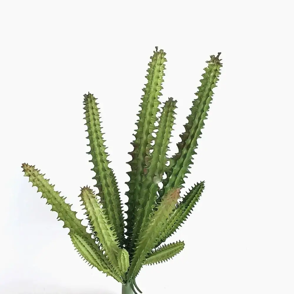 Plastic Cactus Branch High Quality DIY Artificial Plants Simulation Artificial Succulents Plant Living Room 
Plastic Cactus Branch High Quality DIY Artificial Plants Simulation Artificial Succulents Plant Living Room
