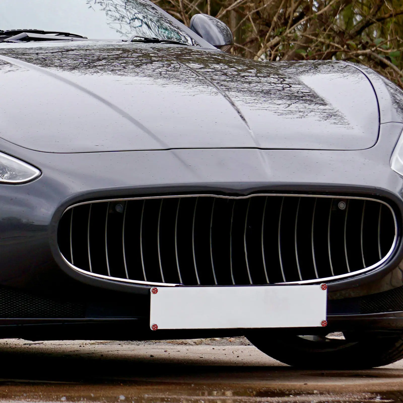 1 комплект противоугонных винтовых заглушек для номерного знака, прочные гальванизированные автомобильные винты, универсальный монтажный комплект, крепежные элементы
1 комплект противоугонных винтовых заглушек для номерного знака, прочные гальванизированные автомобильные винты, универсальный монтажный комплект, крепежные элементы