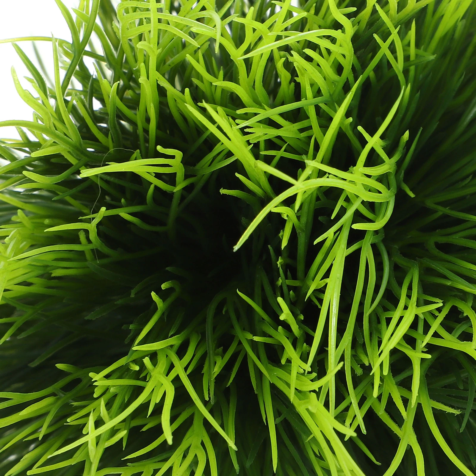 Plastic Aquarium Plants High Simulation Lifelike Fish Tank Decoration Fade Resistant Wear Resistant Easy to Clean Aquatic
Plastic Aquarium Plants High Simulation Lifelike Fish Tank Decoration Fade Resistant Wear Resistant Easy to Clean Aquatic