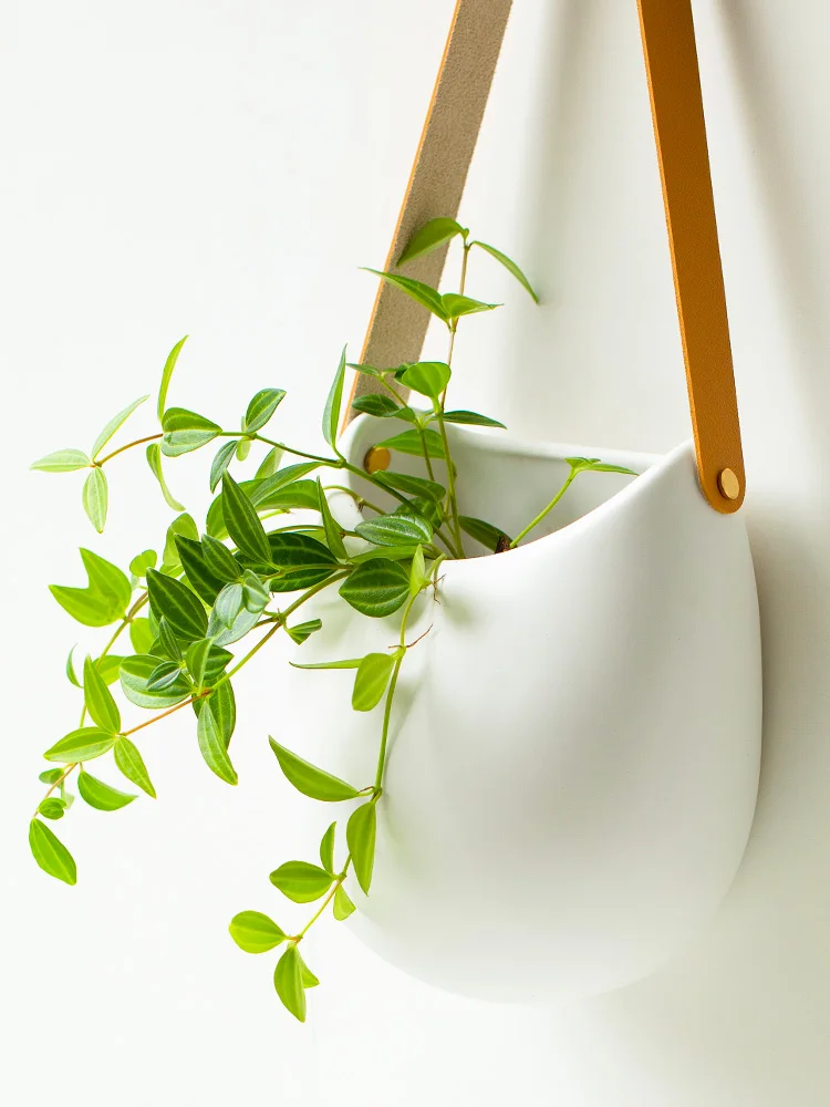 Wall-mounted Hydroponic Vase Non-perforated White Flower Arrangement Decorative Green Plant Flower Pot Ceramic Dried Flower Vase
Wall-mounted Hydroponic Vase Non-perforated White Flower Arrangement Decorative Green Plant Flower Pot Ceramic Dried Flower Vase