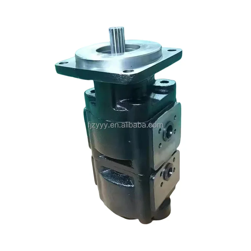 2026 332/F9030 20/925580 7029120047 333/G5390 332/G7135 332/F9032 Hydraulic Gear Pump
2026 332/F9030 20/925580 7029120047 333/G5390 332/G7135 332/F9032 Hydraulic Gear Pump