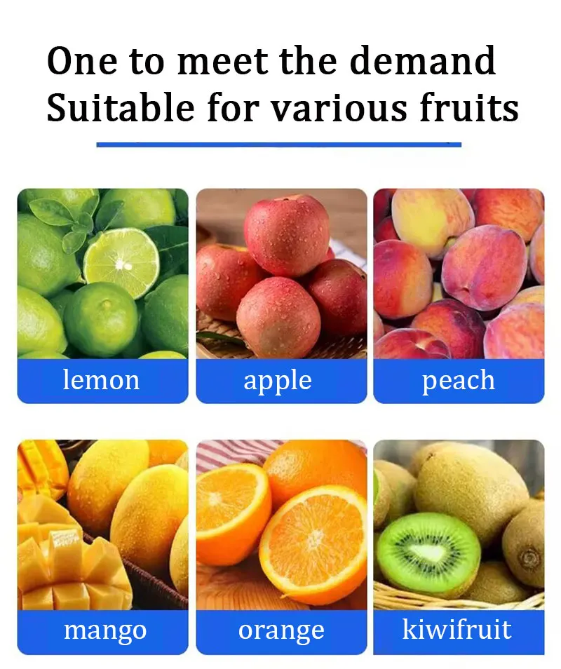 Electric Lemon Orange Peeling Machine Small Easy Operation Fruit Peeler
Electric Lemon Orange Peeling Machine Small Easy Operation Fruit Peeler