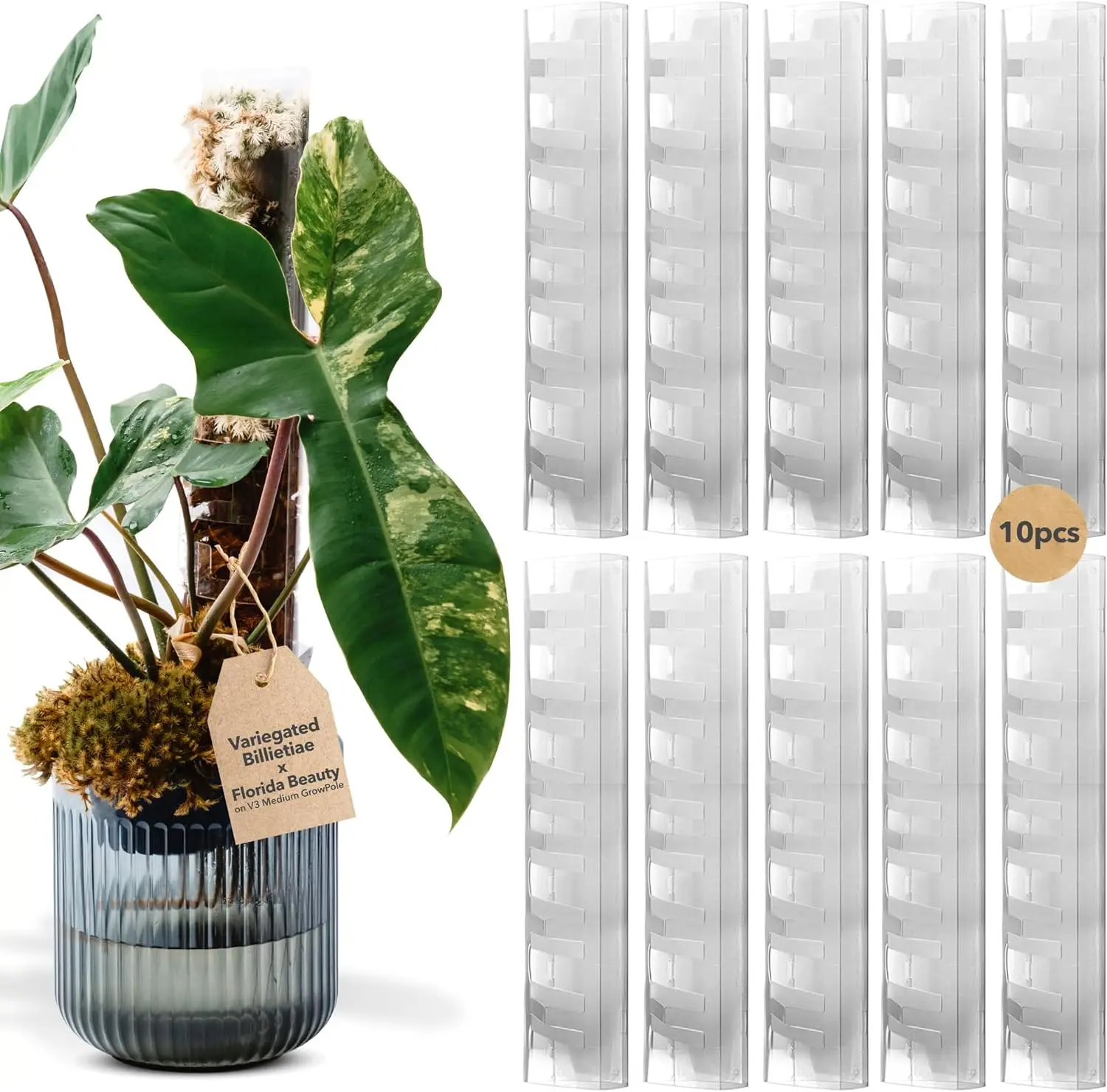 D-Shape Front Opening Moss Pole 10 Pcs - Plastic Plant Support for Climbing Plants, Monstera, Philodendron
D-Shape Front Opening Moss Pole 10 Pcs - Plastic Plant Support for Climbing Plants, Monstera, Philodendron