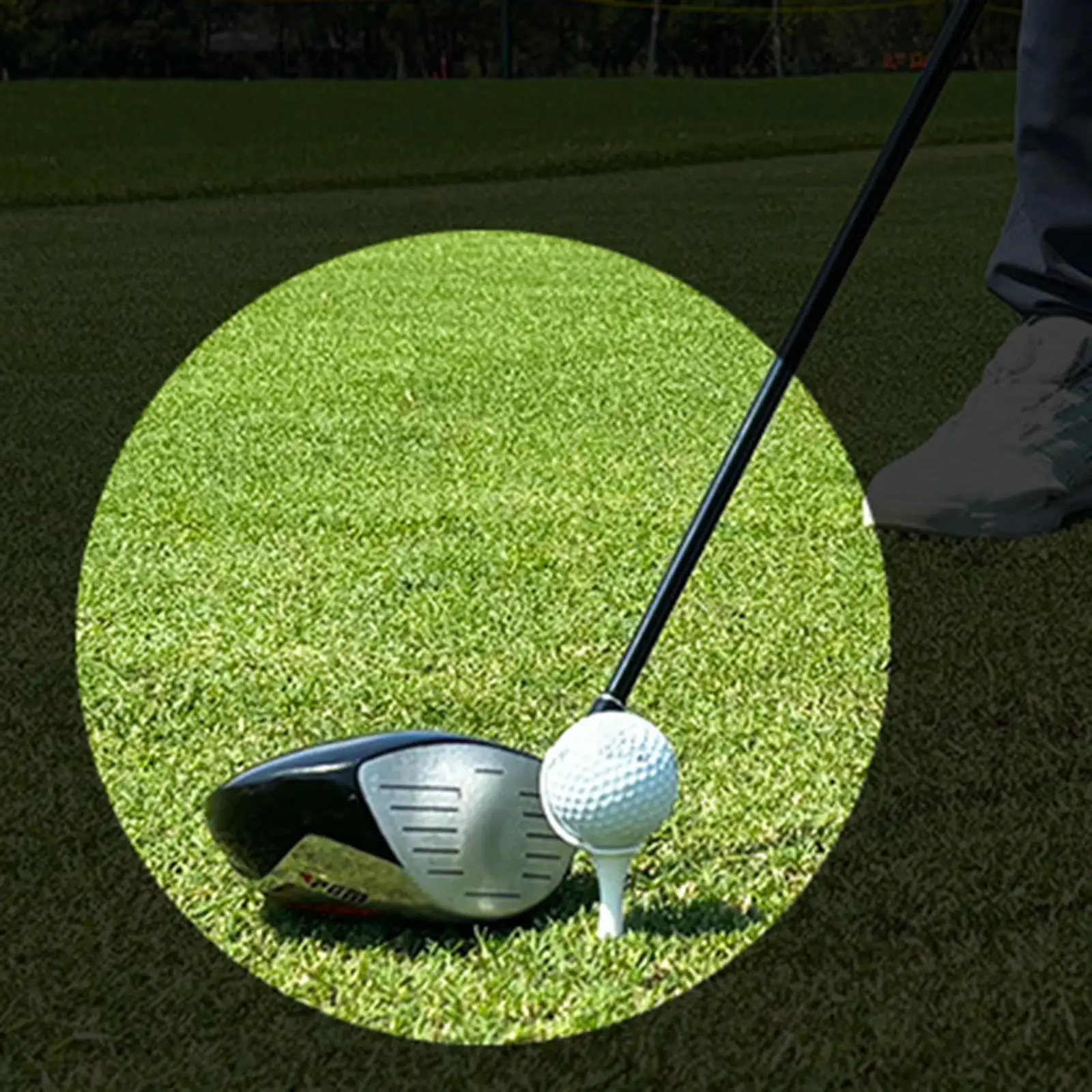 4x Golf Tee Portable Lightweight Improve Swing Accuracy Professional for Driving Putting Chipping Outdoor Sports Golf Equipment
4x Golf Tee Portable Lightweight Improve Swing Accuracy Professional for Driving Putting Chipping Outdoor Sports Golf Equipment