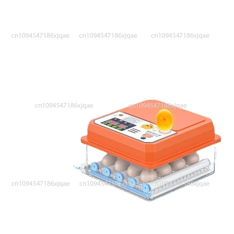 Incubator small incubation box fully automatic egg incubator home intelligent quail duck goose pigeon
Incubator small incubation box fully automatic egg incubator home intelligent quail duck goose pigeon