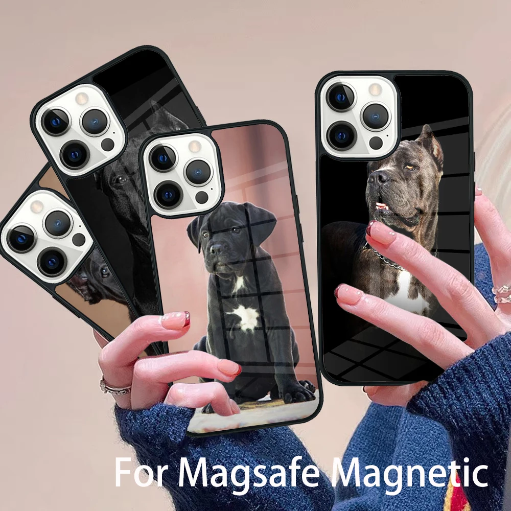 Italian Mastiff Cane Corso Phone Case Magesafe Magnetic Wireless Charge Cover For IPhone 16 11 12 13 14 15 Pro Max Plus Mini
Italian Mastiff Cane Corso Phone Case Magesafe Magnetic Wireless Charge Cover For IPhone 16 11 12 13 14 15 Pro Max Plus Mini