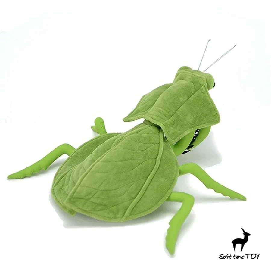 Leaf Backed Mantis High Fidelity Praying Mantis Plushie Choeradodis Plush Toys Lifelike Animals Simulation Stuffed Doll Toy
Leaf Backed Mantis High Fidelity Praying Mantis Plushie Choeradodis Plush Toys Lifelike Animals Simulation Stuffed Doll Toy