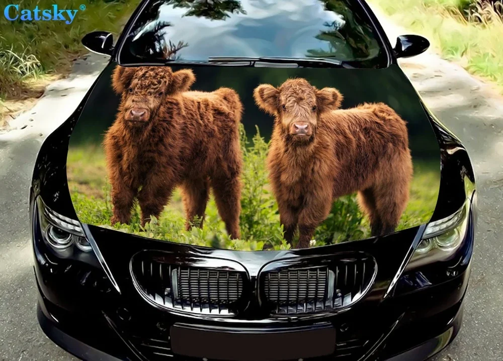 Cute Cow Family Car Hood Sticker, Custom car Hood Decoration Protection Cover, Auto Vinyl Sticker, Car Body Full Color Decal
Cute Cow Family Car Hood Sticker, Custom car Hood Decoration Protection Cover, Auto Vinyl Sticker, Car Body Full Color Decal