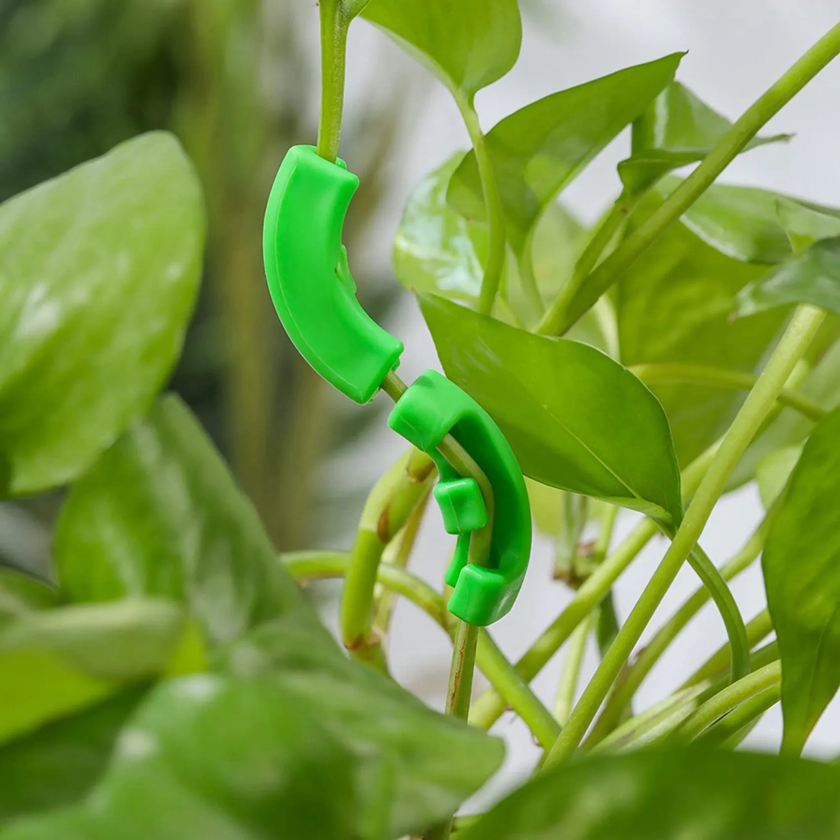 Y17A 72 шт. 90-градусный тренажер для растений для тренировок с низким стрессом, гибкие зажимы, зажимы LST для наборов для роста решеток растений
Y17A 72 шт. 90-градусный тренажер для растений для тренировок с низким стрессом, гибкие зажимы, зажимы LST для наборов для роста решеток растений