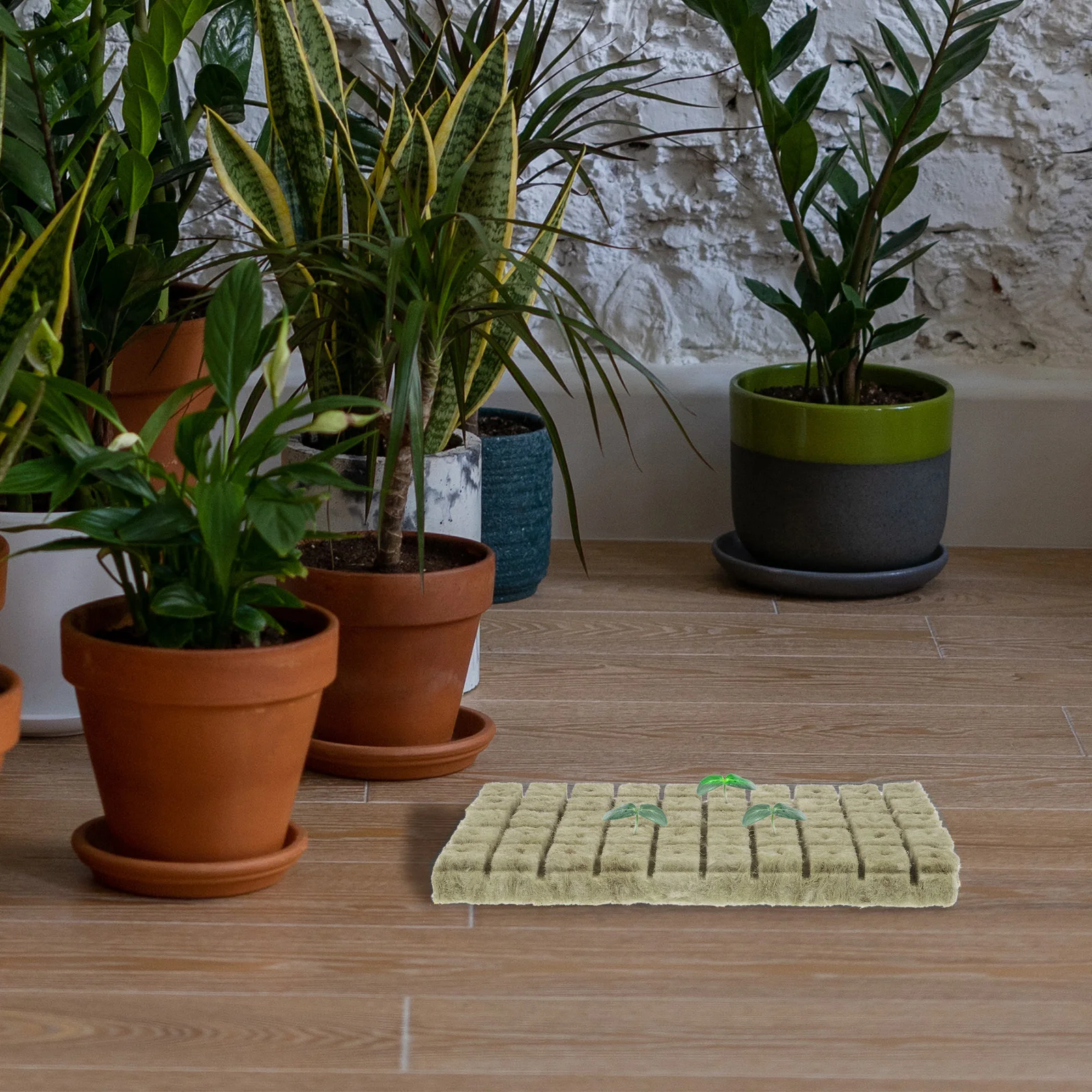 100 шт., стартовые блоки для рассады, гидропонные кубики для выращивания сада, быстрорастущие почвенные блоки для выращивания, детская комната
100 шт., стартовые блоки для рассады, гидропонные кубики для выращивания сада, быстрорастущие почвенные блоки для выращивания, детская комната