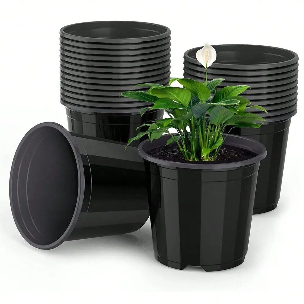Pack 10 Pack Heavy Duty Premium Plastic Nursery Plant Container Garden Planter Pot, Flower Herb Vegetable Garden Grow Pots For
Pack 10 Pack Heavy Duty Premium Plastic Nursery Plant Container Garden Planter Pot, Flower Herb Vegetable Garden Grow Pots For