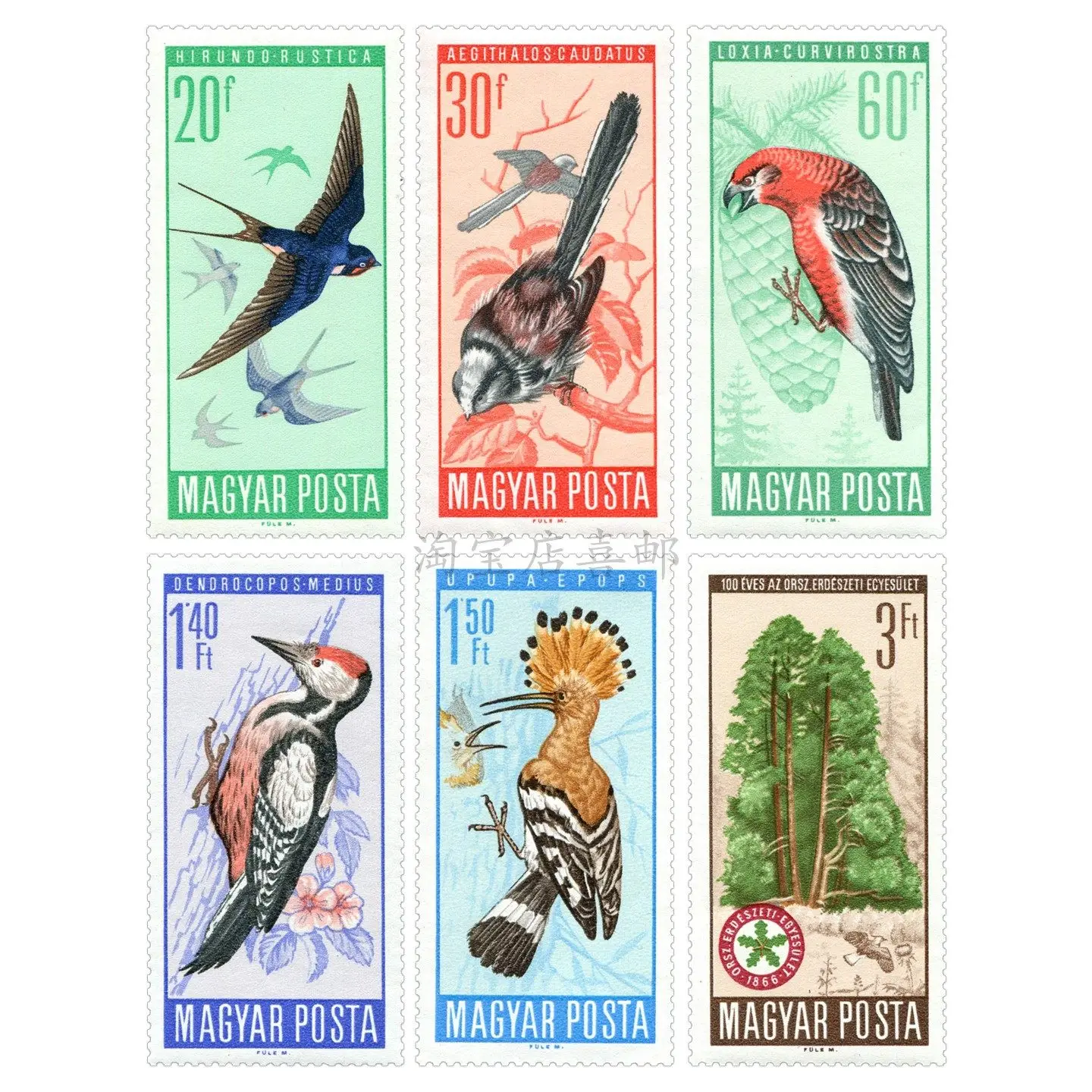 Hungary Post Stamps Postage Year 1966 Birds Tree Conservation 1 Set 6 New Collectible Postage Stamps Material For Scrapbooking
Hungary Post Stamps Postage Year 1966 Birds Tree Conservation 1 Set 6 New Collectible Postage Stamps Material For Scrapbooking