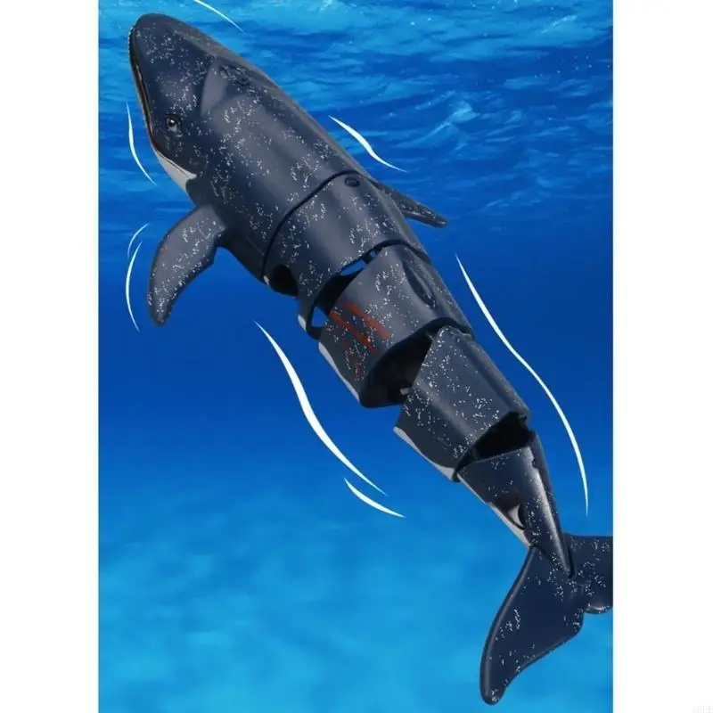16fe Перезаряжаемый RC Shark Dive and изысканный дизайн, принесите радость в ванну, бассейн и многое другое
16fe Перезаряжаемый RC Shark Dive and изысканный дизайн, принесите радость в ванну, бассейн и многое другое