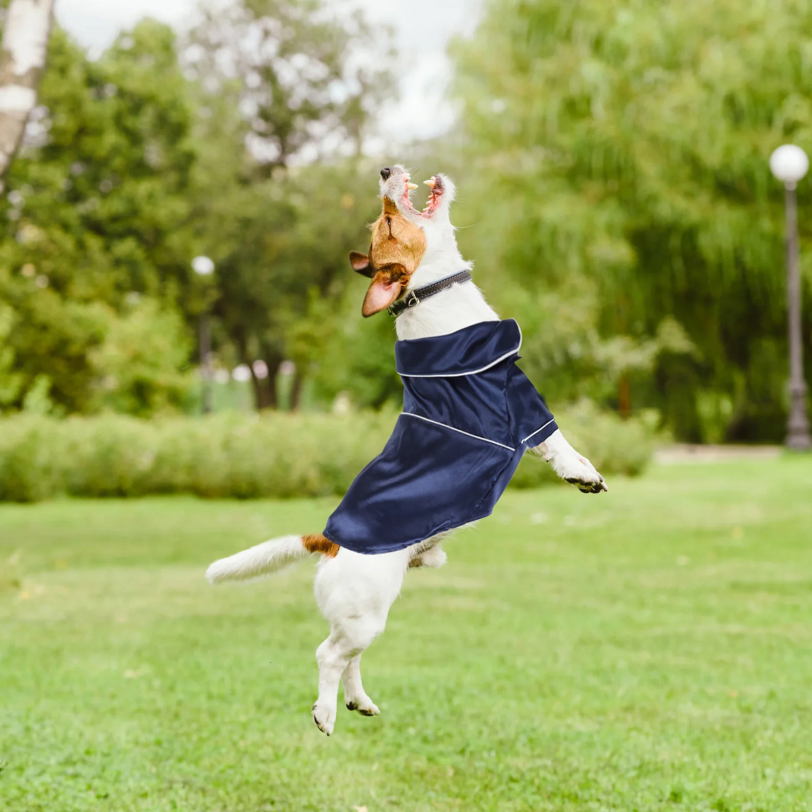 Dog Pajamas Winter Clothes Puppy Rompers Lightweight Wearable Design Pet Sleepwear Dog Vest StyleFunny Party Atmosphere
Dog Pajamas Winter Clothes Puppy Rompers Lightweight Wearable Design Pet Sleepwear Dog Vest StyleFunny Party Atmosphere