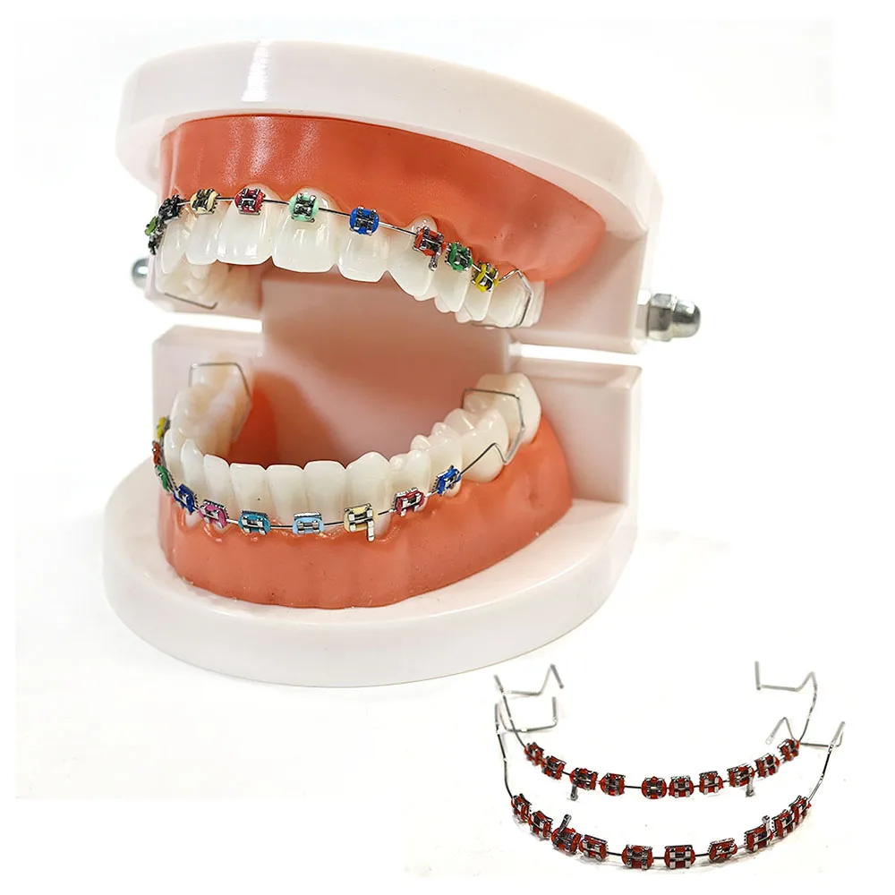 2pcs/Set Dental Oral Braces Decoration Colored with/without Hook Alveolus Stainless Steel Dentistry Cultural Product Tools
2pcs/Set Dental Oral Braces Decoration Colored with/without Hook Alveolus Stainless Steel Dentistry Cultural Product Tools