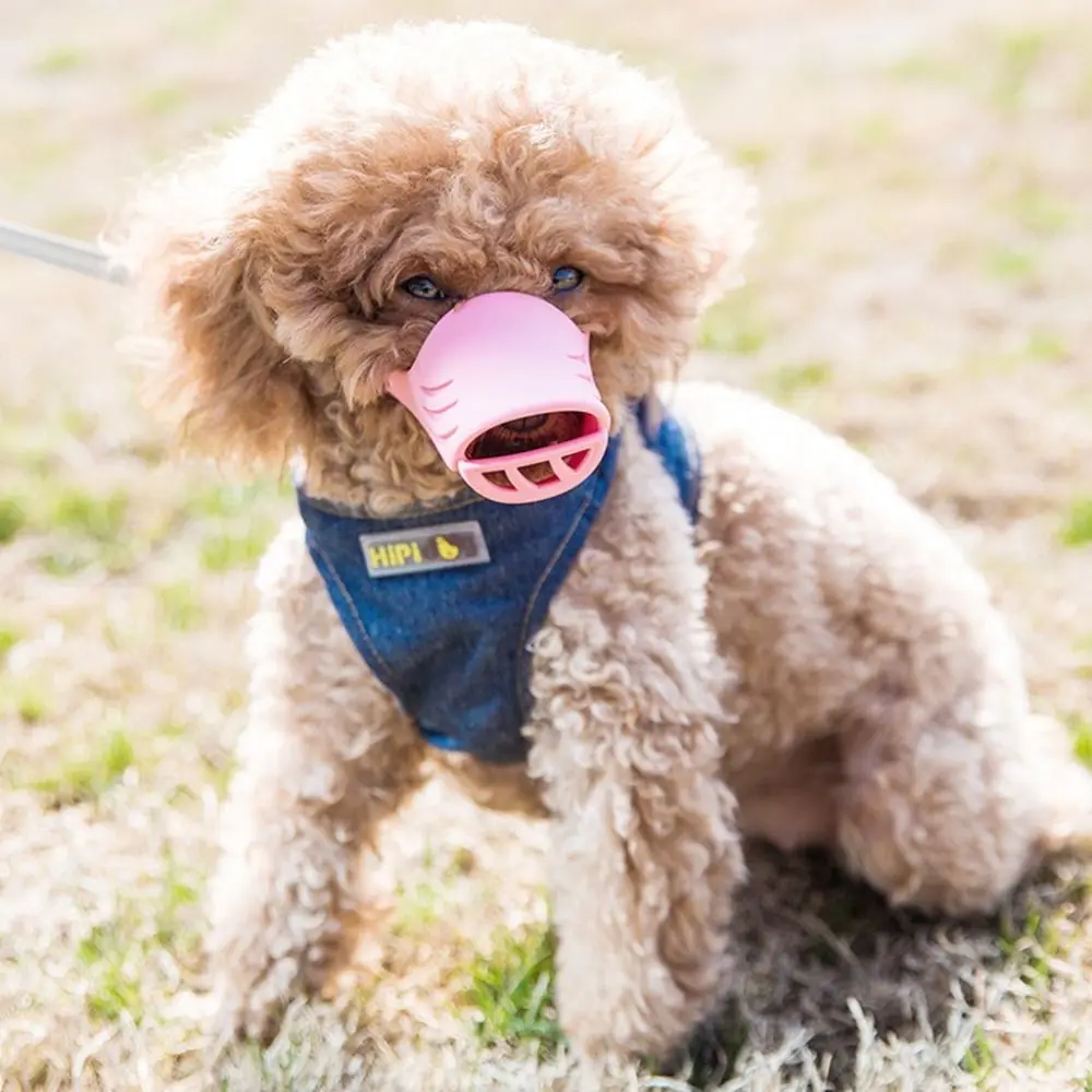Pet Accessories Cute Anti Bite Dogs Muzzles Adjustable Silicone Dog Mouth Mask Soft Breathable Dogs Mouth Cover Anti-Licking
Pet Accessories Cute Anti Bite Dogs Muzzles Adjustable Silicone Dog Mouth Mask Soft Breathable Dogs Mouth Cover Anti-Licking