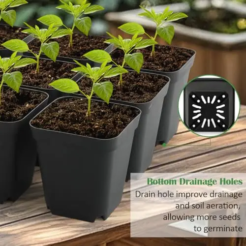 100 Black 8Cm Square Plastic Seedling Pots With 5 Drainage Trays For Germination, Microgreening And Plant Propagation
100 Black 8Cm Square Plastic Seedling Pots With 5 Drainage Trays For Germination, Microgreening And Plant Propagation