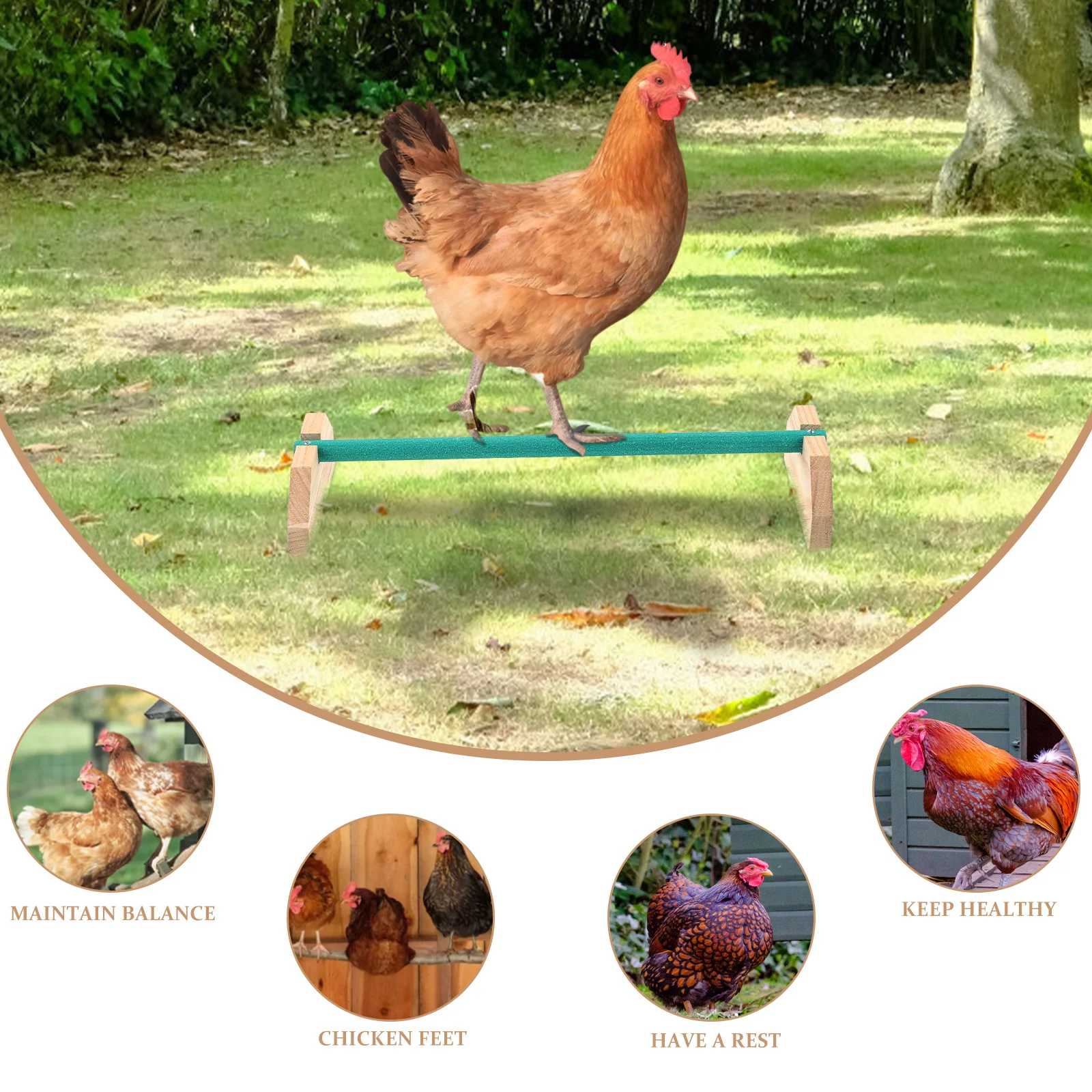 1pc Sturdy Wooden Chicken Standing Rack For Pet Hens Balancing Frame Durable Rooster Perch Long-Lasting Hen Plaything Wood Bird 
1pc Sturdy Wooden Chicken Standing Rack For Pet Hens Balancing Frame Durable Rooster Perch Long-Lasting Hen Plaything Wood Bird
