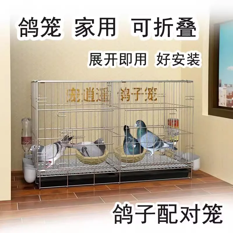 Dove cage Domestic breeding pigeons Special for carrier pigeons New white pigeon cage Large extra large new pairing breeding
Dove cage Domestic breeding pigeons Special for carrier pigeons New white pigeon cage Large extra large new pairing breeding
