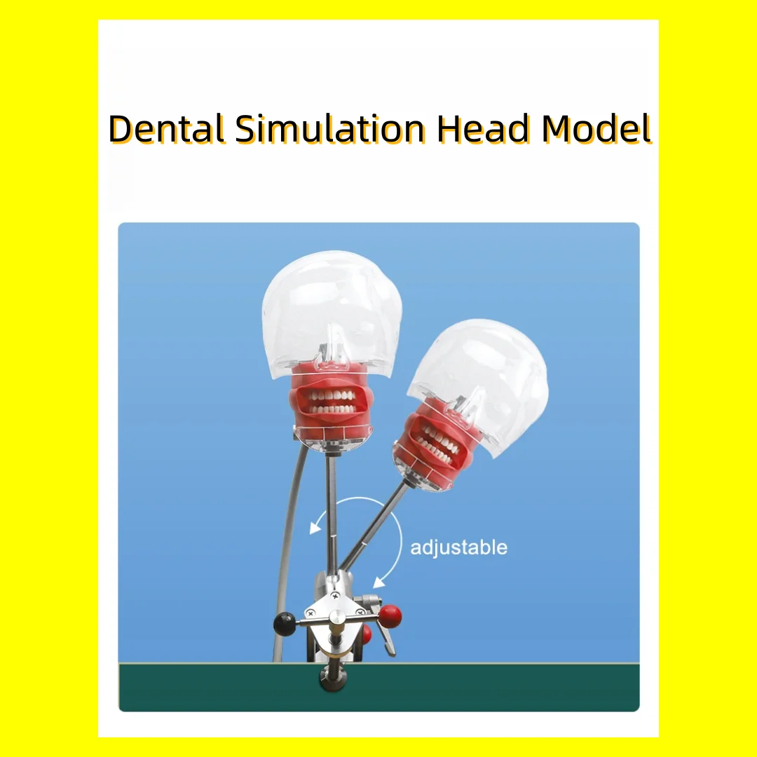 Голова-симулятор стоматологической подготовки, простая фантомная модель манекена для образования и практики стоматолога
Голова-симулятор стоматологической подготовки, простая фантомная модель манекена для образования и практики стоматолога