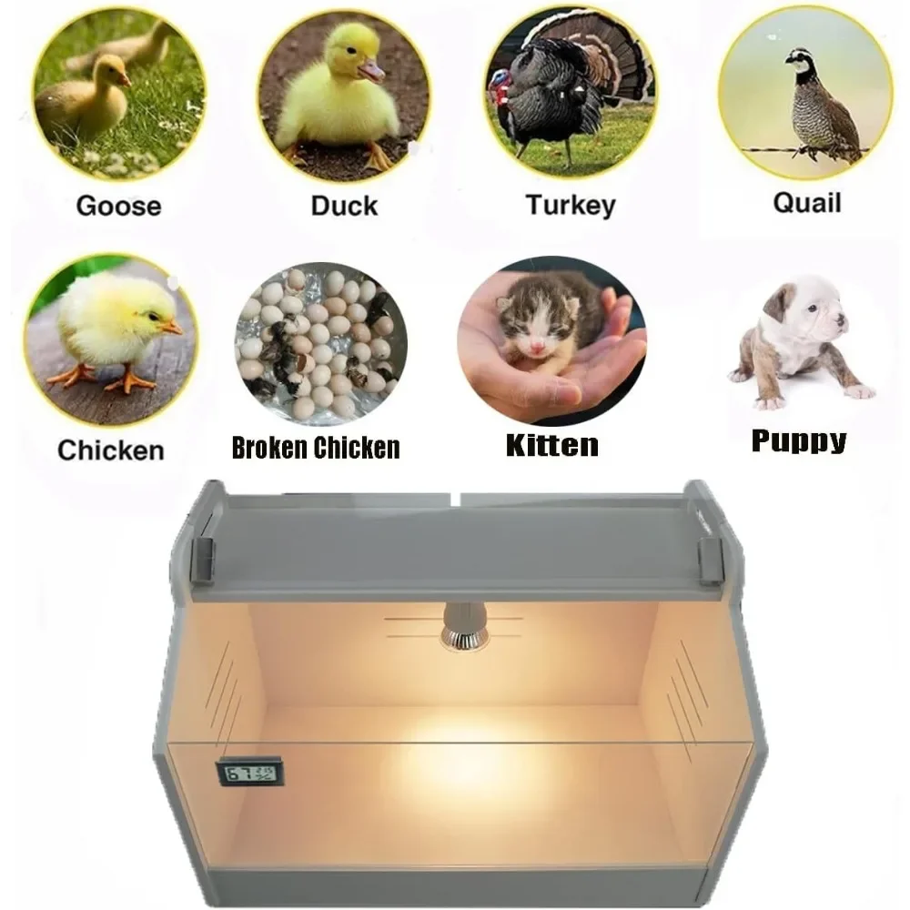 10-15 Newborns Chicks Quail Birds Small Animals Manual Incubators Poultry Heater Breeding Box
10-15 Newborns Chicks Quail Birds Small Animals Manual Incubators Poultry Heater Breeding Box