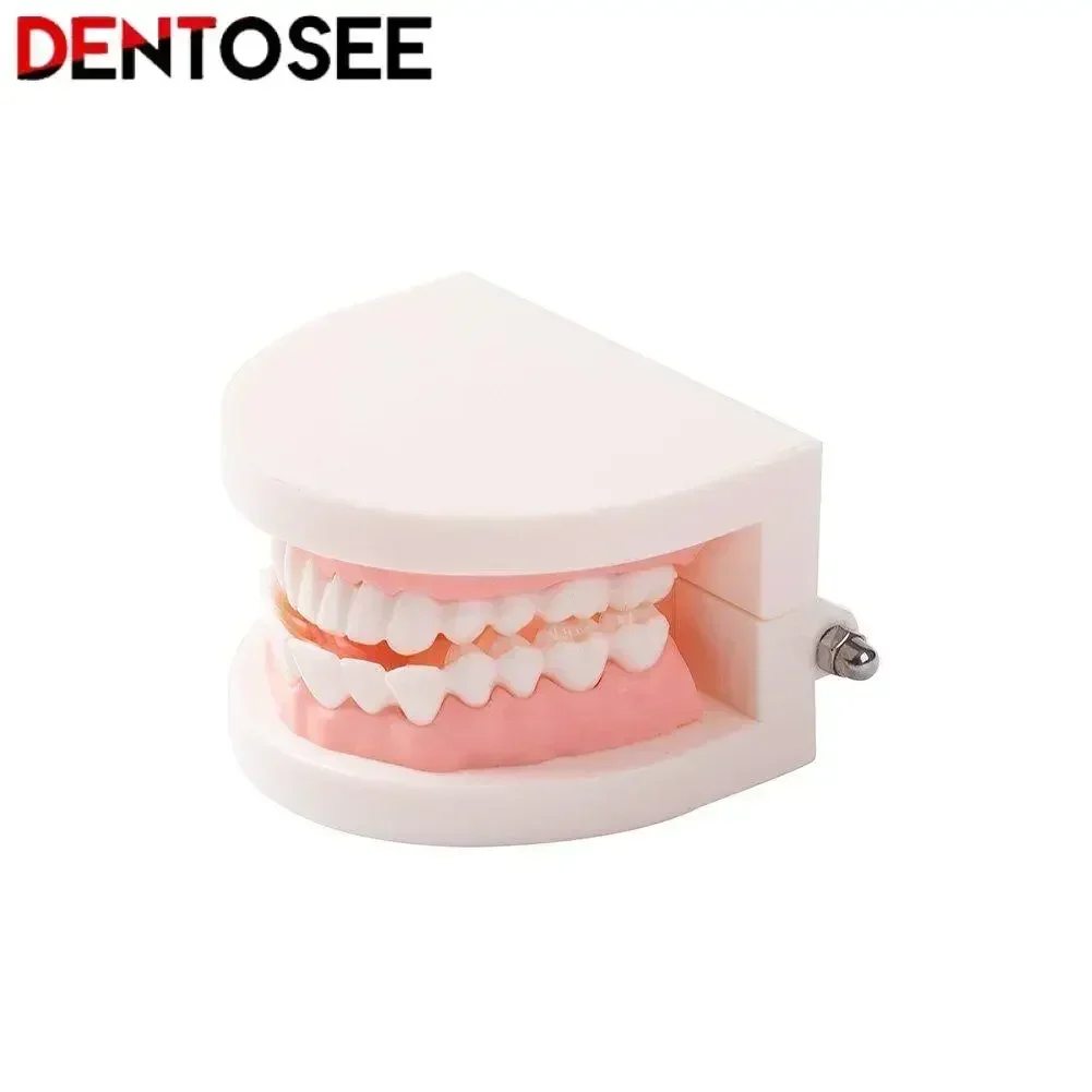 Dentist Material Tool Dental Mouth Opener Intraoral O Shaped Lip Cheek Retractor Expanders Holder Teeth Whitening
Dentist Material Tool Dental Mouth Opener Intraoral O Shaped Lip Cheek Retractor Expanders Holder Teeth Whitening