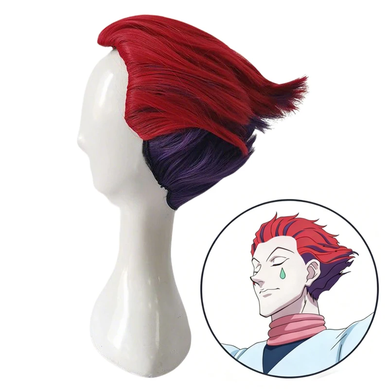 Anime HUNTER X HUNTER Hisoka Cosplay Wig Red Purple Short Spiky Heat Resistant Synthetic Hair for Halloween Christmas Party
Anime HUNTER X HUNTER Hisoka Cosplay Wig Red Purple Short Spiky Heat Resistant Synthetic Hair for Halloween Christmas Party